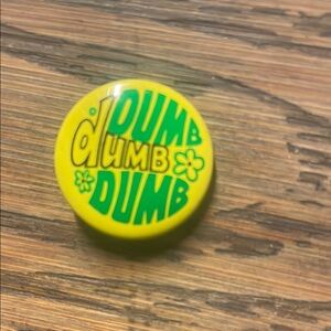 Collectible 1969 pin